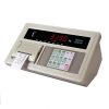 ĐẦU CÂN XK3190-A9