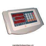 Đầu cân TD-C1