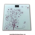 Cân sức khỏe điện tử TD-HD