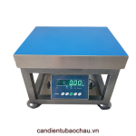 CÂN GHẾ ĐIỆN TỬ 100KG B19S