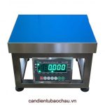 CÂN GHẾ ĐIỆN TỬ 60KG DIGI DS166SS