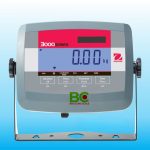 Bộ chỉ thị OHAUS T31P