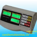 Bộ Chỉ Thị FCD-A
