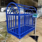 Cân heo điện tử DS167SS