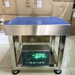 Cân ghế điện tử inox 304 B19S