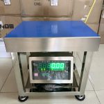 CÂN GHẾ ĐIỆN TỬ INOX DJ28SS 