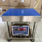 CÂN GHẾ ĐIỆN TỬ INOX DS166SS