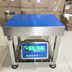 CÂN GHẾ ĐIỆN TỬ INOX DS166SS