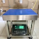 Cân ghế điện tử inox 304 JWS Xanh