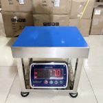 Cân ghế điện tử inox 304 Super-SS