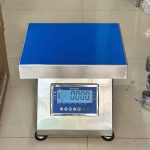 CÂN GHẾ ĐIỆN TỬ INOX DS166SS